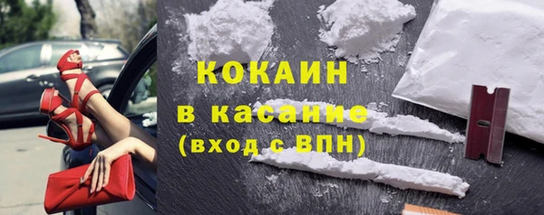 ешки Алексин