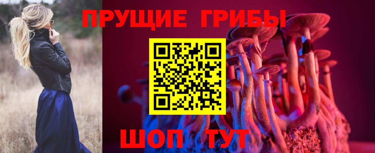 Псилоцибиновые грибы Psilocybe  Псилоцибиновые грибы GOLDEN TEACHER  Сатка  продажа наркотиков  Вход с VPN 